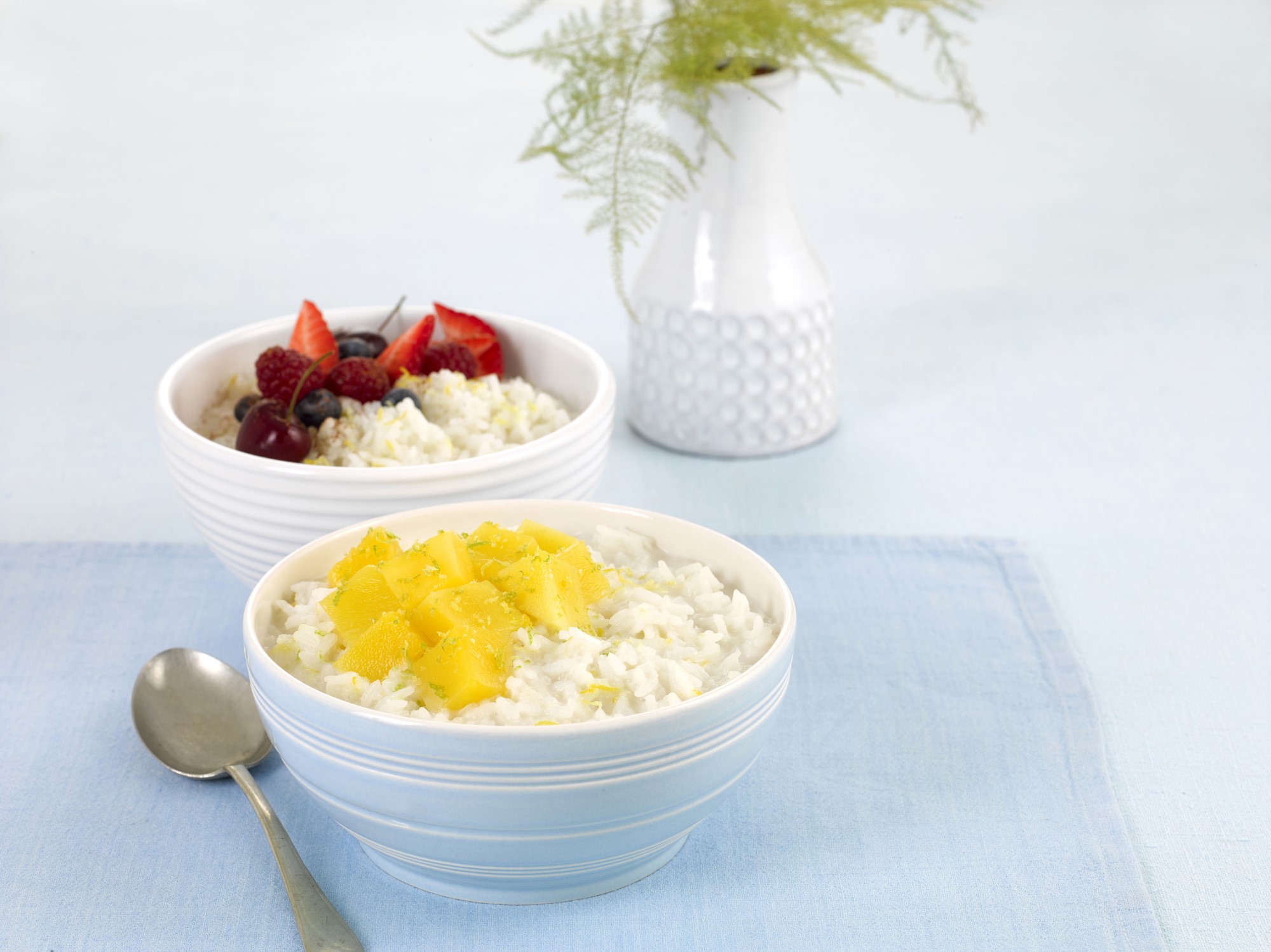 Vegan Rice Pudding